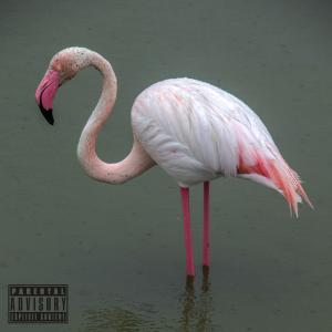 YNGFirefly的專輯PADAVINE (Explicit)