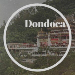 Various Artist的专辑Dondoca