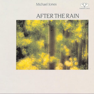 ดาวน์โหลดและฟังเพลง After The Rain พร้อมเนื้อเพลงจาก Michael Jones