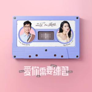 Listen to Love is An Ongoing Practice (feat. Viya Huang) song with lyrics from Victor Wong (黄品冠)