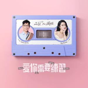 Listen to Love is An Ongoing Practice (feat. Viya Huang) song with lyrics from 薇娅viya
