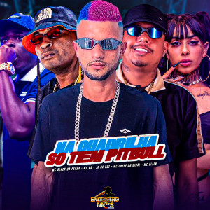 Listen to NA QUADRILHA SÓ TEM PITBULL (Explicit) song with lyrics from Jr Na Voz