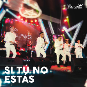 Los Tulipanes cumbia con amor的專輯Si Tú No Estás
