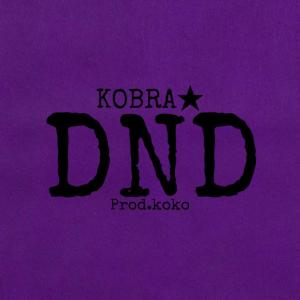 Kobra的專輯DND (Freestyle) (Explicit)