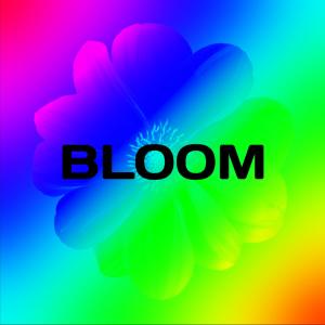David Redmond的專輯BLOOM
