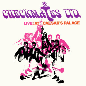 ดาวน์โหลดและฟังเพลง A Quitter Never Wins พร้อมเนื้อเพลงจาก Checkmates Ltd.
