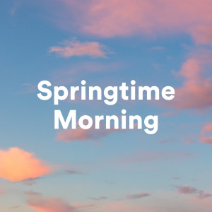 Various的專輯Springtime Morning (Explicit)