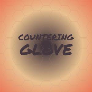 Countering Glove dari Various