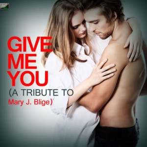 ดาวน์โหลดและฟังเพลง No More Drama พร้อมเนื้อเพลงจาก Ameritz Tribute Standards