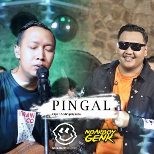 Album Pingal from Ndarboy Genk