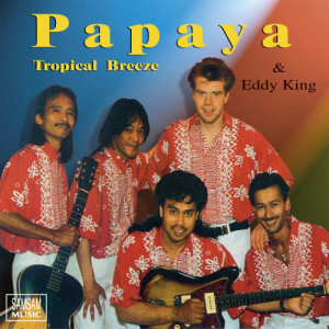ดาวน์โหลดและฟังเพลง Can't Help Falling In Love พร้อมเนื้อเพลงจาก Papaya