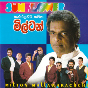 Listen to Eda Raa (Instrumental) song with lyrics from Milton Mallawarachchi