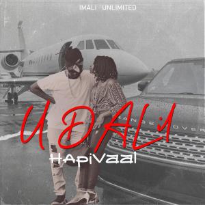 Album U DALI from HapiVaal