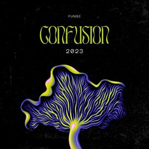 Album 3. Confusion oleh D-Tune