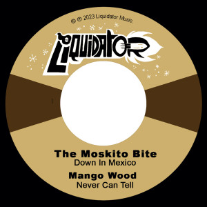收聽The Moskito Bite的Down In Mexico歌詞歌曲