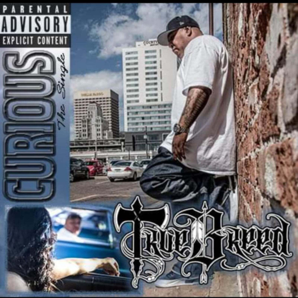 Curious (Explicit)
