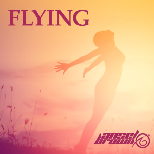 Album Flying from Ansel Brown