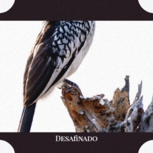 Desafinado dari Various