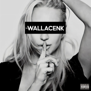 Listen to Não Precisa Falar Nada (Explicit) song with lyrics from Dj Wallace NK