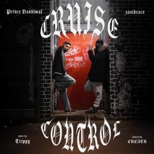 Prince Dandiwal的專輯Cruise Control