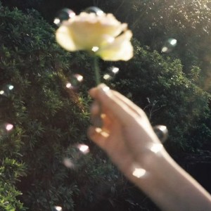 Album 氤氲之森 from CMJ