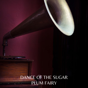 Album Dance of the Sugar Plum Fairy from Arthur Fiedlern