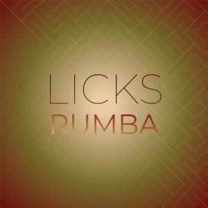 收听Jaan Koek的Licks Rumba歌词歌曲