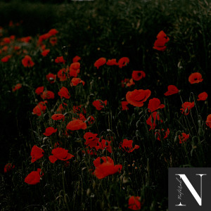 Natural的專輯Natural Ambience