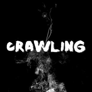 B.A. Bellec的專輯Crawling (feat. Shelley Harland)