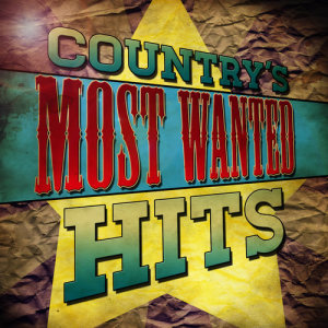 ดาวน์โหลดและฟังเพลง See You Again พร้อมเนื้อเพลงจาก Country Nation