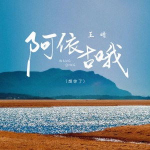 Album 阿依古哦 from 王晴