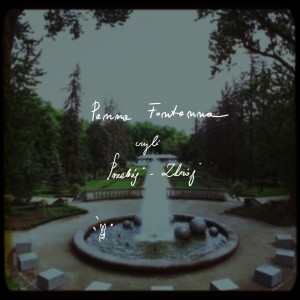 Album Panna Fontanna from Artur Andrus
