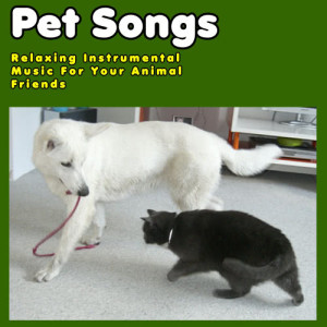 Pianissimo Brothers的專輯Music for Cats