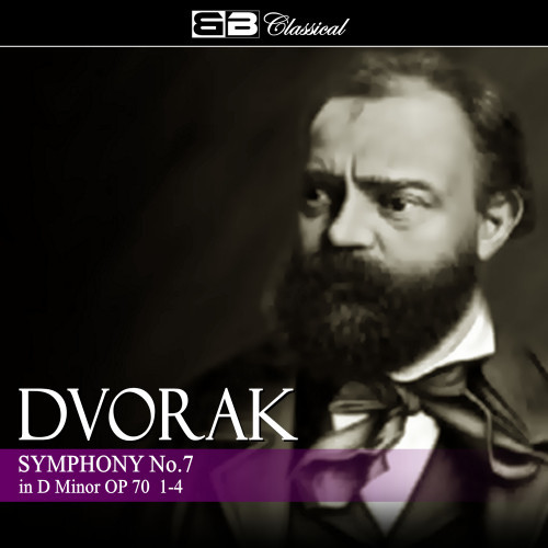 Symphony No. 7 in D Minor, Op.70 - , B. 141: II. Poco adagio