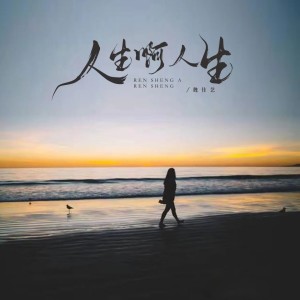 Listen to 人生啊人生 (伴奏) song with lyrics from 魏佳艺