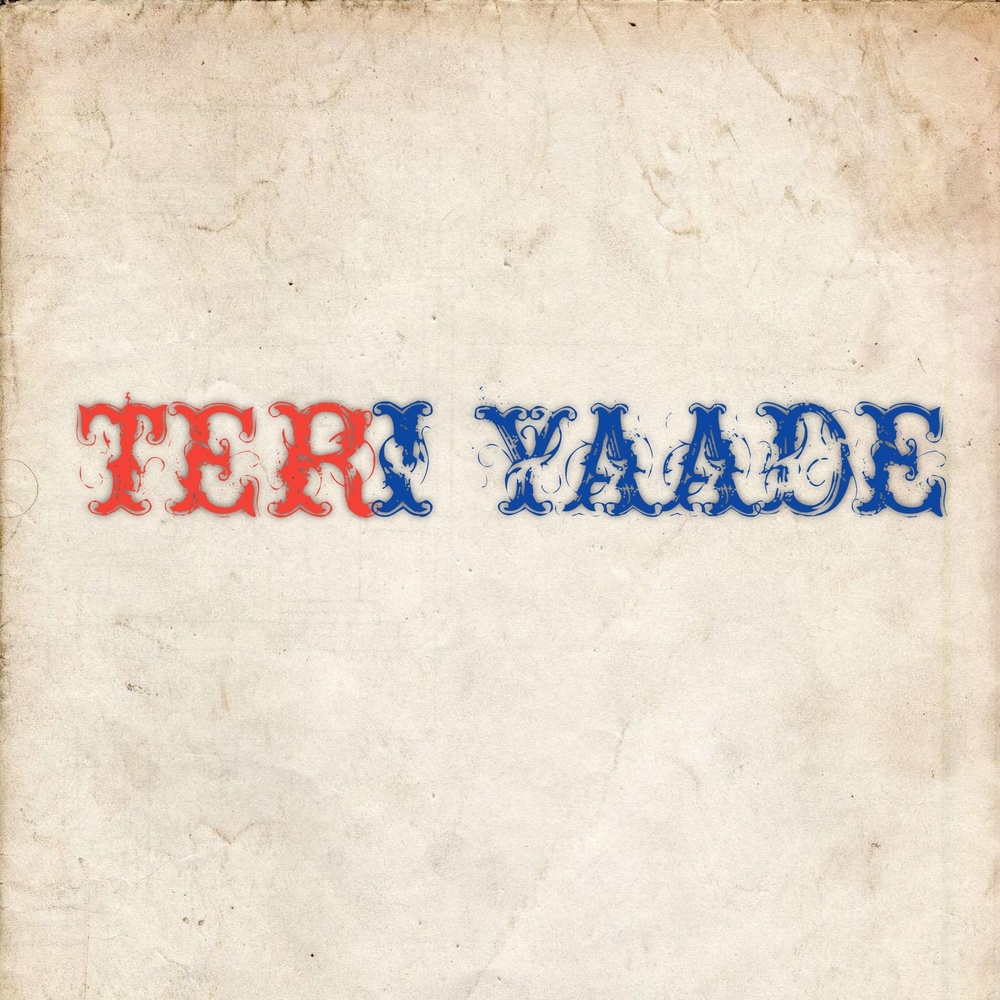Teri yaade