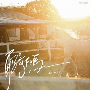 Album 身骑白马 from cici_
