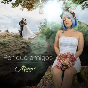 Merarí的专辑Por Qué Amigos