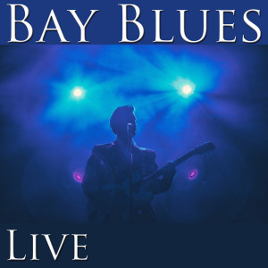 Listen to Elvin's Blues (Live) song with lyrics from Elvin bishop