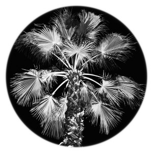 Old Hard Drive dari Acid Savannah