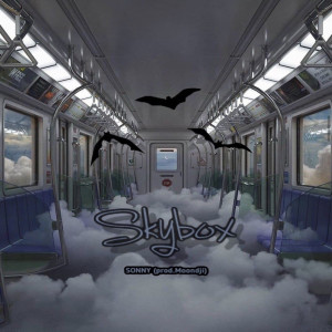 ดาวน์โหลดและฟังเพลง Skybox พร้อมเนื้อเพลงจาก SONNY