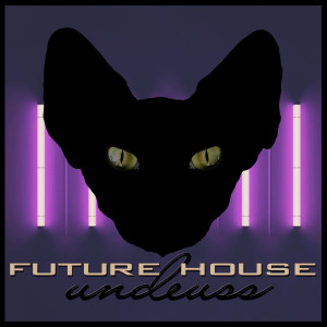 ดาวน์โหลดและฟังเพลง Future House พร้อมเนื้อเพลงจาก UNDEUSS