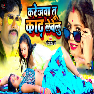 Album Karejwa Tu Kadh Levelu from Sanjay Lahari