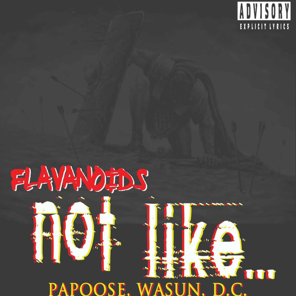 Not Like... (feat. D.C., Wasun & Papoose) (Explicit)