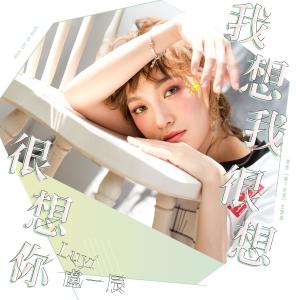 收聽luyi的我想我很想很想你 (電影《帥T空姐》主題曲) (錄音室版)歌詞歌曲