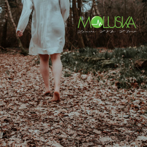 Album Leave Me Now from Moluska