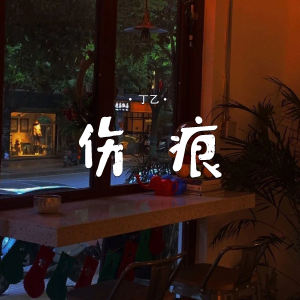 Album 伤痕 from 丁乙