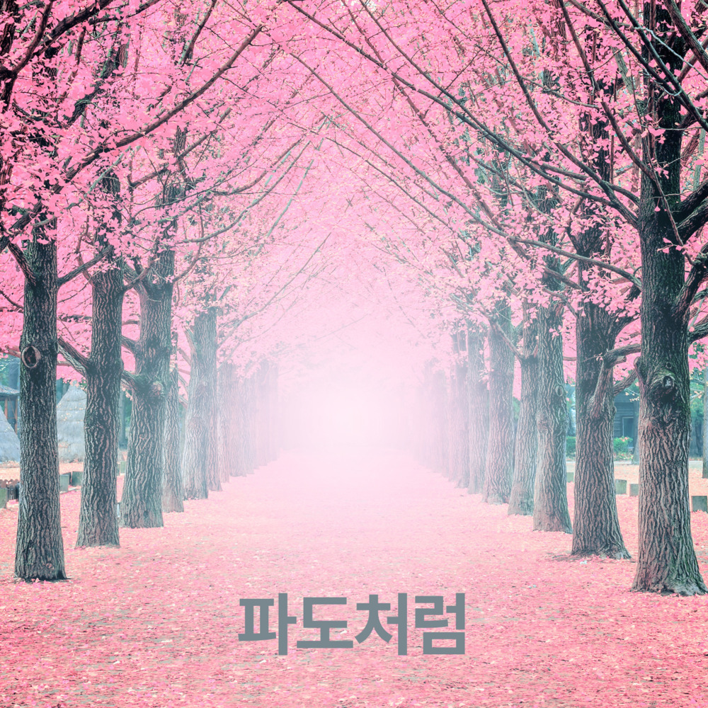 파도처럼