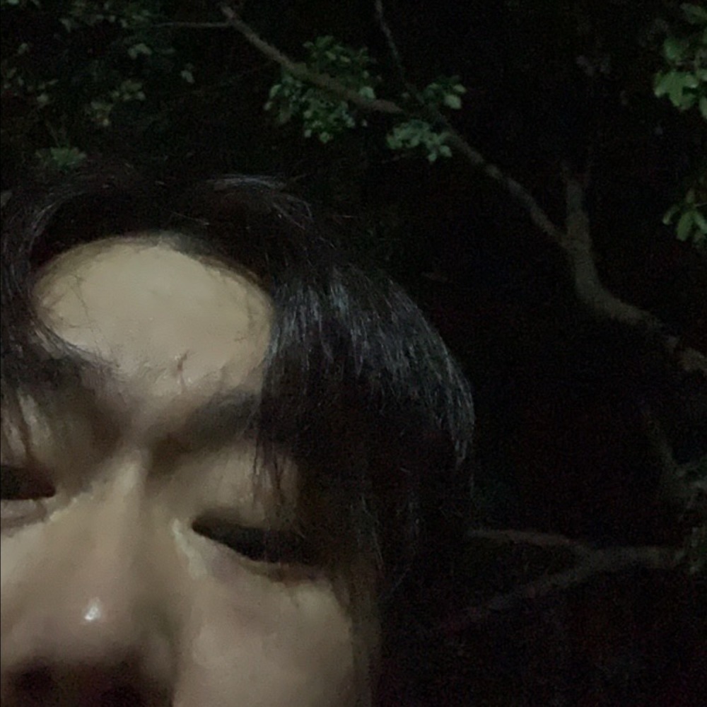 十二王十二