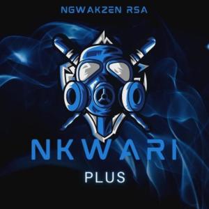 ดาวน์โหลดและฟังเพลง Nkwari Plus พร้อมเนื้อเพลงจาก Ngwakzen Rsa